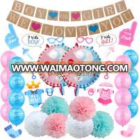 Boy or Girl Gender Reveal Balloon Party Supplies