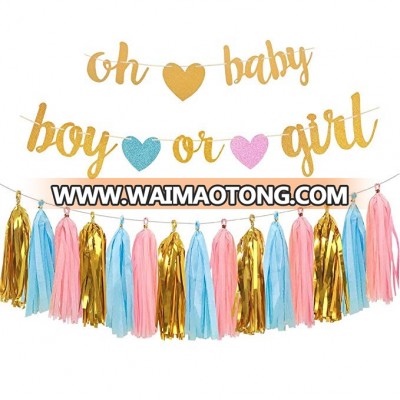 Gender Reveal Party Decorations Glitter Letters OH BABY and BOY OR GIRL With Hearts Banner  Tissue Paper Tassels Garland Set f