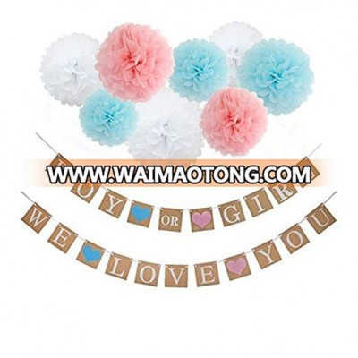 Festivous Wishel Gender Reveal Party Decoration Boy or Girl Banner,Paper Pom Poms Set for Baby Shower Party  Baby Celebration