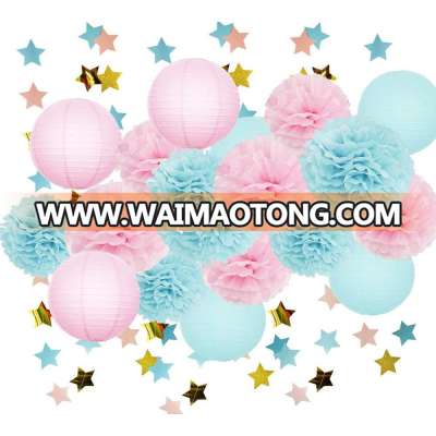 Gender Reveal Party Supplies Baby Shower Decoration  Baby Blue Pink Tissue Paper Pom Pom Flowers Lanterne Pink Blue set